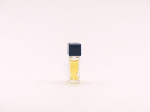 Via Lanvin
