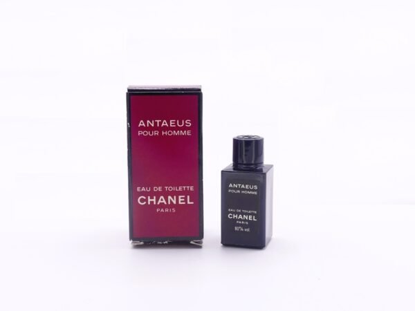 Antaeus pour homme