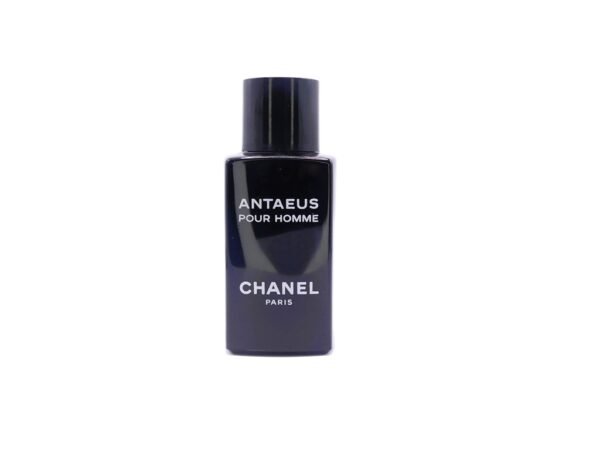 Antaeus pour homme