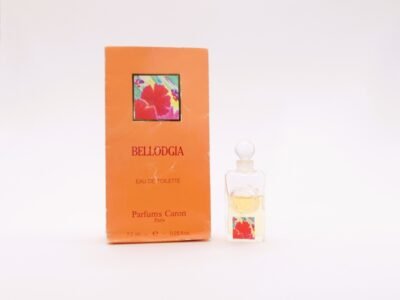 Belodgia