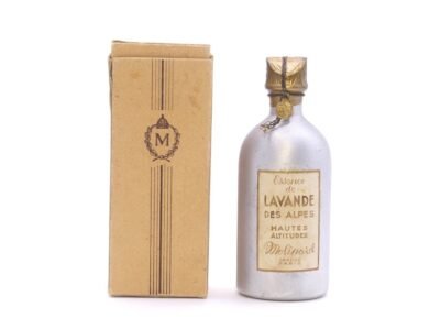Lavande des Alpes - hautes altitudes
