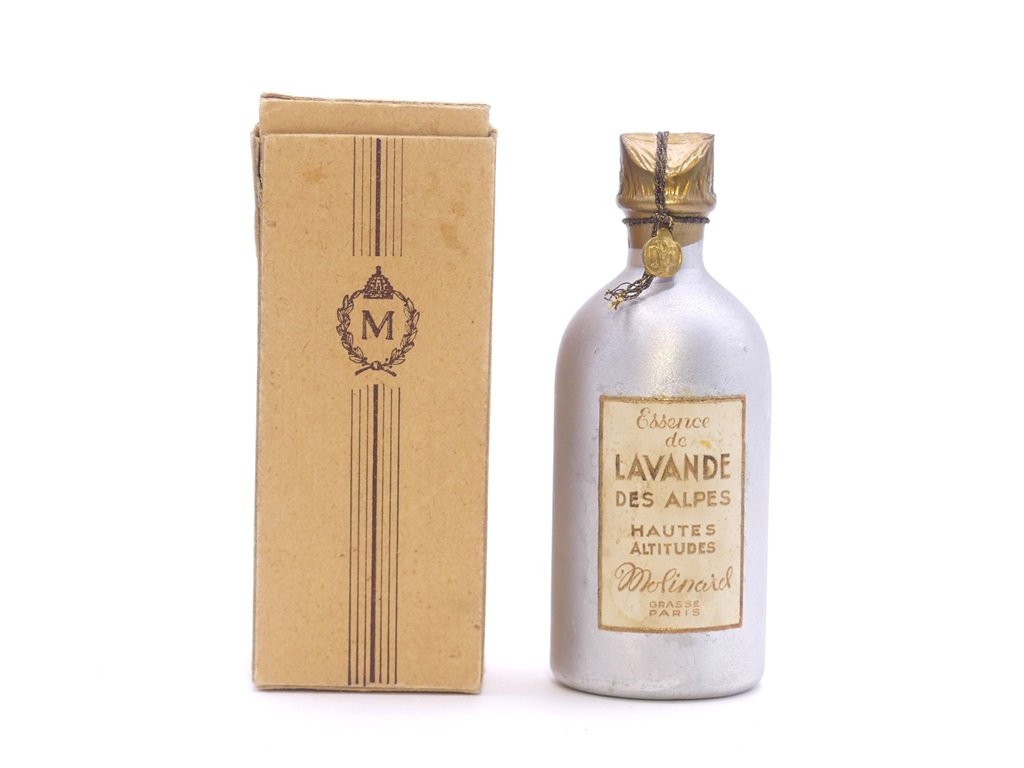 Lavande des Alpes - hautes altitudes