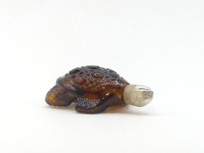 Elegance - Tortue